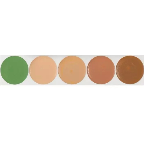 Kryolan 75015 Dermacolor Camouflage Paleta 5 kamuflaży DQ4