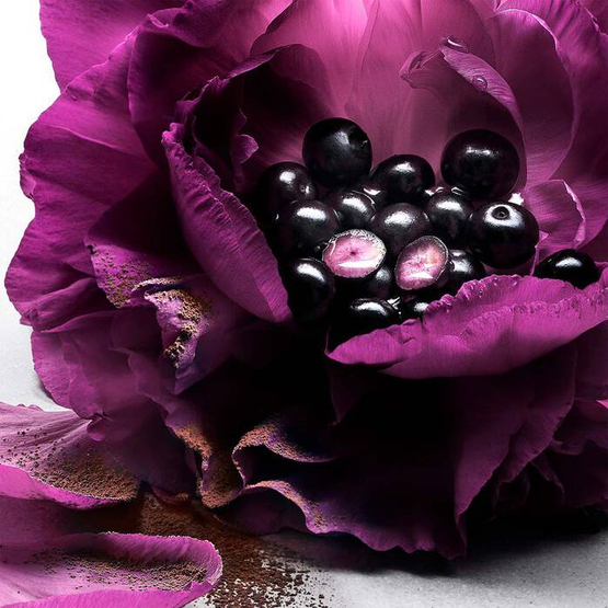 Lancome La Nuit Tresor Le Parfum woda perfumowana spray 50ml